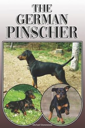 The German Pinscher: A Complete and Comprehensive Owners Guide To: Buying, Owning, Health, Grooming, Training, Obedience, Understanding and image number 0