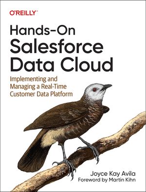 Hands-On Salesforce Data Cloud: Implementing and Managing a Real-Time Customer Data Platform image number 0
