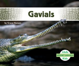 Gavials image number 0