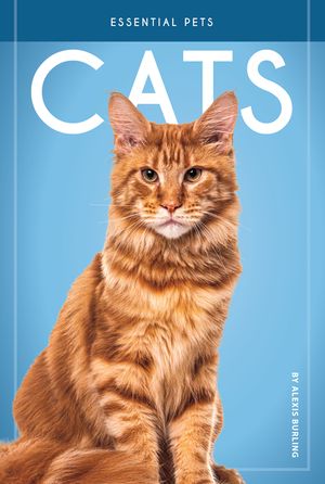 Cats image number 0