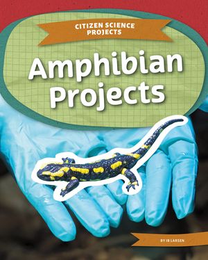 Amphibian Projects image number 0
