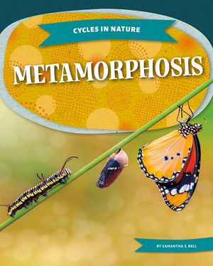 Metamorphosis image number 0