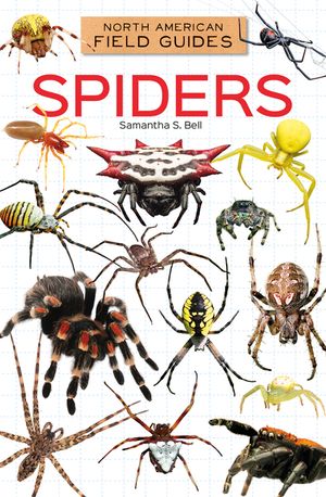 Spiders image number 0