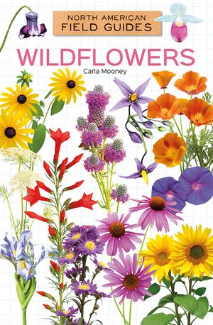 Wildflowers image number 0