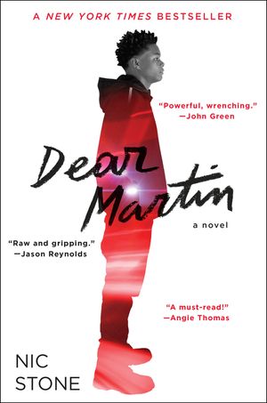Dear Martin image number 0