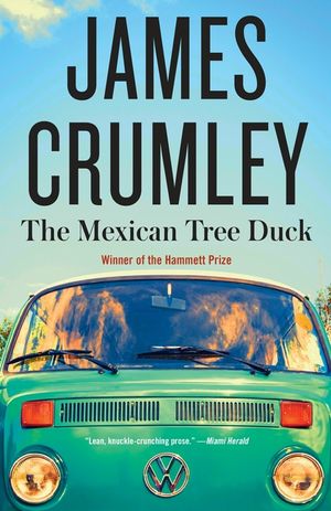 The Mexican Tree Duck image number 0