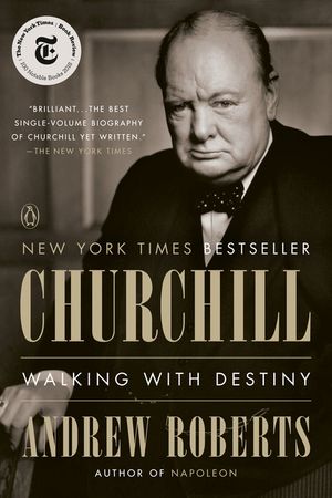 Churchill: Walking with Destiny image number 0