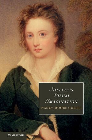 Shelley's Visual Imagination image number 0
