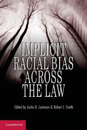 Implicit Racial Bias Across the Law image number 0