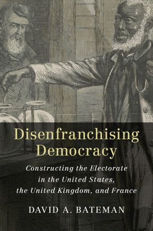 Disenfranchising Democracy image number 0
