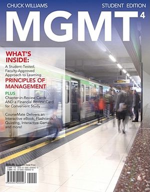 MGMT4 [With Access Code] image number 0