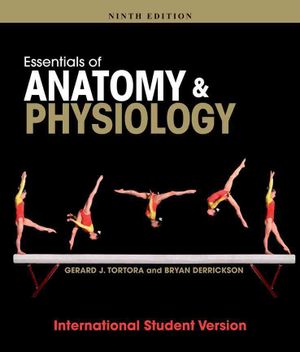 Essentials of Anatomy and Physiology image number 0