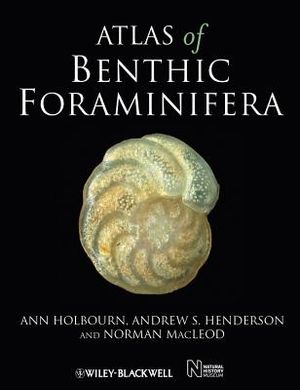 Atlas of Benthic Foraminifera image number 0