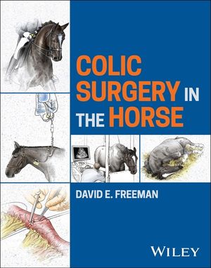 Colic Surgery in the Horse image number 0