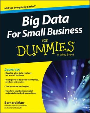 Big Data for Small Business for Dummies image number 0