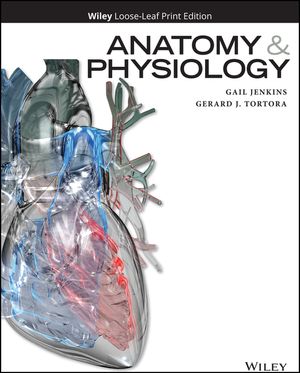 Anatomy and Physiology image number 0