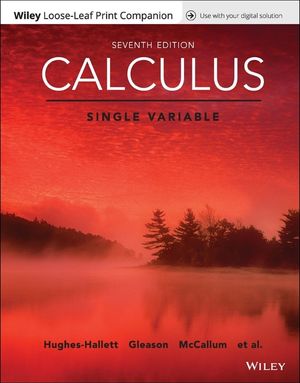 Calculus: Single Variable image number 0