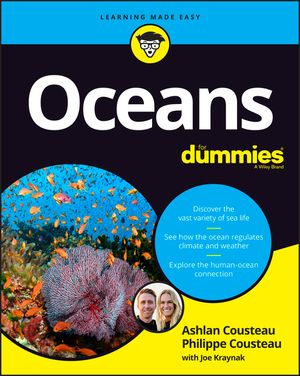 Oceans for Dummies image number 0