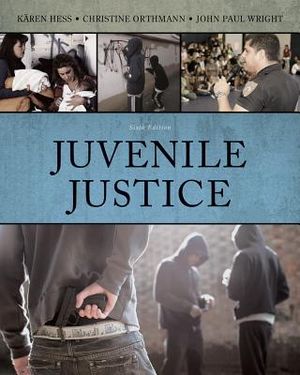 Cengage Advantage Books: Juvenile Justice image number 0