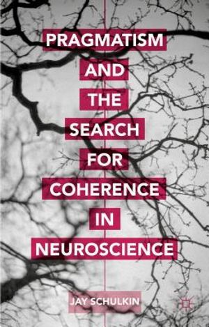 Pragmatism and the Search for Coherence in Neuroscience image number 0