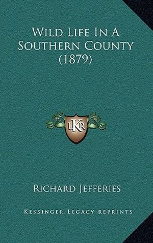 Wild Life in a Southern County (1879) image number 0