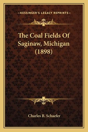 The Coal Fields Of Saginaw, Michigan (1898) image number 0