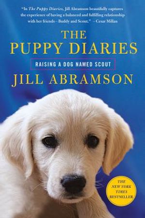 The Puppy Diaries: Raising a Dog Named Scout image number 0