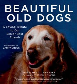 Beautiful Old Dogs: A Loving Tribute to Our Senior Best Friends image number 0