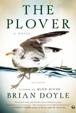 The Plover image number 0