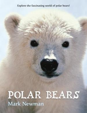 Polar Bears image number 0