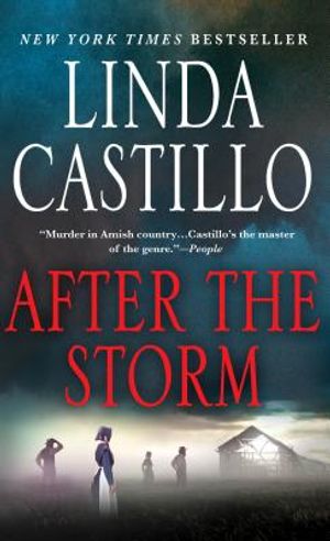 After the Storm image number 0