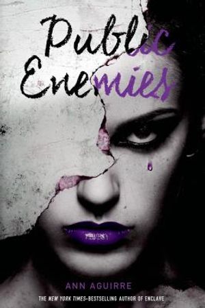 Public Enemies image number 0