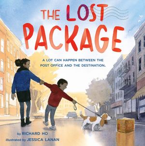 The Lost Package image number 0