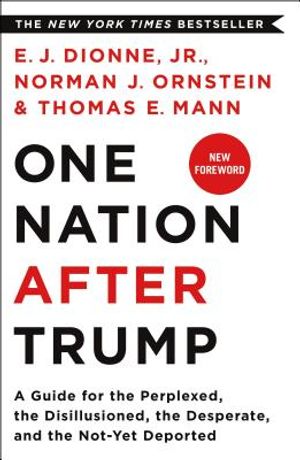 One Nation After Trump: A Guide for the Perplexed, the Disillusioned, the Desperate, and the Not-Yet Deported image number 0