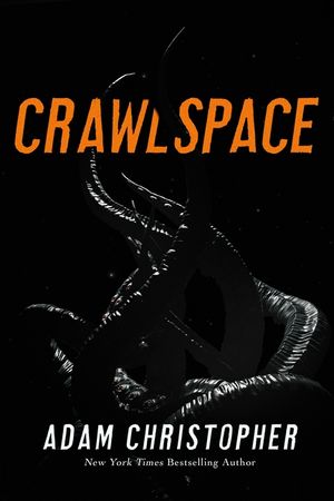 Crawlspace image number 0