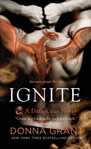 Ignite image number 0