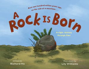 A Rock Is Born image number 0