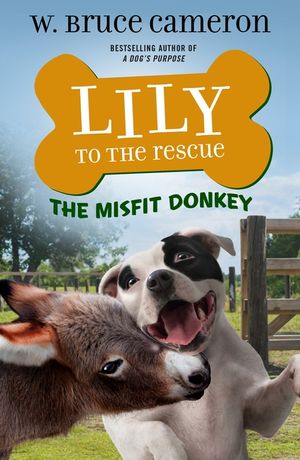 Lily to the Rescue: The Misfit Donkey image number 0
