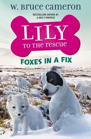 Lily to the Rescue: Foxes in a Fix image number 0