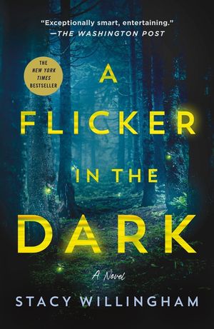 A Flicker in the Dark image number 0