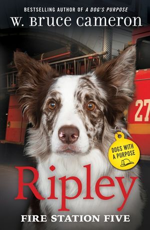 Ripley: Fire Station Five: Dogs with a Purpose image number 0