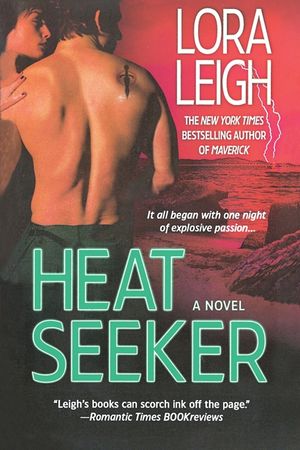 Heat Seeker image number 0