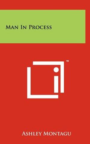 Man in Process image number 0