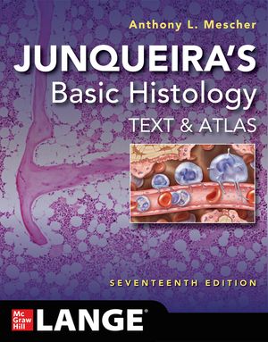 Junqueira's Basic Histology: Text and Atlas, Seventeenth Edition image number 0