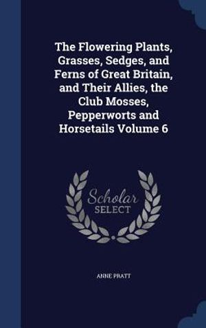 The Flowering Plants, Grasses, Sedges, and Ferns of Great Britain, and Their Allies, the Club Mosses, Pepperworts and Horsetails Volume 6 image number 0