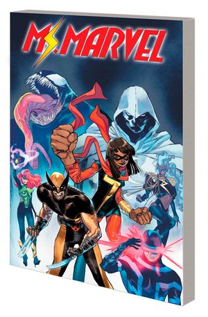 Ms. Marvel: Fists of Justice image number 0