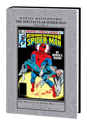Marvel Masterworks: The Spectacular Spider-Man Vol. 6 image number 0