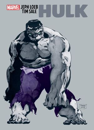 Jeph Loeb & Tim Sale: Hulk Gallery Edition image number 0