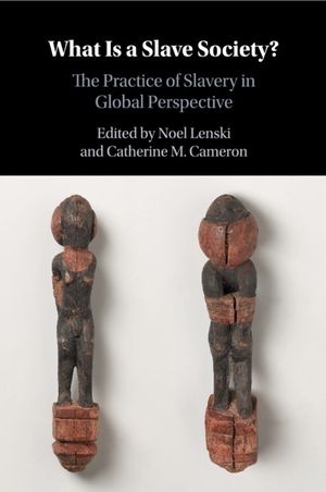 What Is a Slave Society?: The Practice of Slavery in Global Perspective image number 0