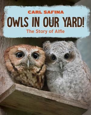 Owls in Our Yard!: The Story of Alfie image number 0